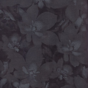 Catalina for Maywood Studios 1880