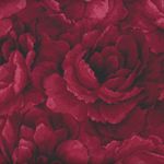 Belleflower by Hoffman HP7576 010 Crimson