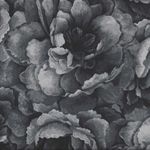 Belleflower by Hoffman HP7576 055 Charcoal