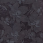 Catalina for Maywood Studios 1880