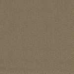 Elcott Park from Clothworks Y2021 Color 63