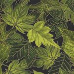 Hoffman Falling For You HP7605 157G