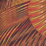 New Wave by Caryl Bryer Fallert-Gentry for Benartex 6067 colour 28