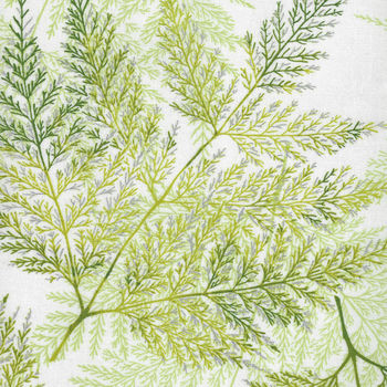 A Little Birdie Told Me by Hoffman Fabrics SQ4509 211S Green Tea Silver