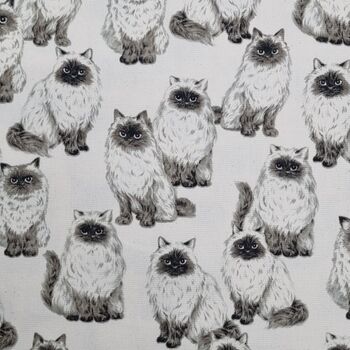 Agano by Sevenberry Japanese Fabric 66880 Colour 102 Cream Ragdoll Cats