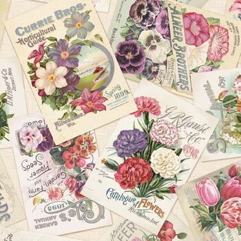 Cottage Lace by Kellie Beckwith for Marcus Fabric R261466D Multi