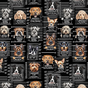 Dogs Rule by Timeless Treasures Fabric Digital TTCD3888 Black