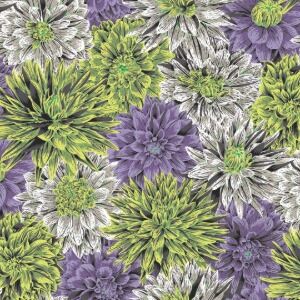 FreeSpirit Kaffe Fassett Collective August 2026 Bursting Stripes PWPJ137 Contras