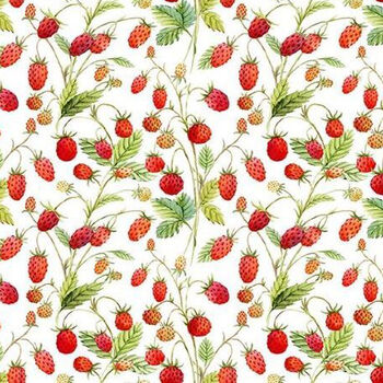 Hedgehog Hollow For In The Beginning Studio  C24968HH1 White