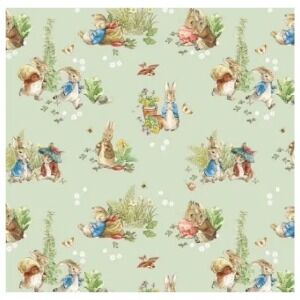 Peter Rabbit and Benjamin Bunny  CD17250Green