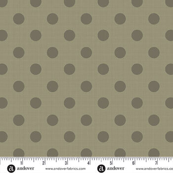 Quiltessentials by Edyta Sitar for Andover Fabric 1674 Colour N