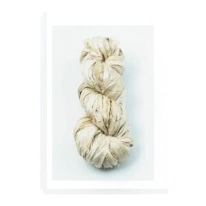 Sari Silk Ribbon 50gr Hank Colour Champagne