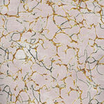 Bloom Tapestry- Marble Muse by Audrey Roberts Camelot Fabrics 55230804-02 Blush.