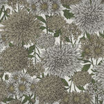 NAGARA by Sevenberry Japanese 100% Cotton Fabric 850545 Colour 3 Taupe.