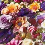 NORA Moelan Studio-Digital Made in Japan FR1343-A Multi.