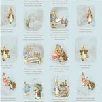 Peter Rabbit and Benjamin Bunny Story Time CD17252-Blue.