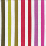 Tabby Road by Tula Pink for Free Spirit PWTP231 Disco Stripe 1/2".