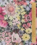  Liberty of London Tana Lawn AW 26 Morris Meadow 036362044A. 