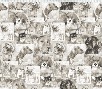 Best Friends by Lexi Grenzer for Clothworks Y4281  62 Taupe