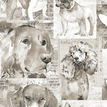 Best Friends by Lexi Grenzer for Clothworks Y4281   62 Taupe