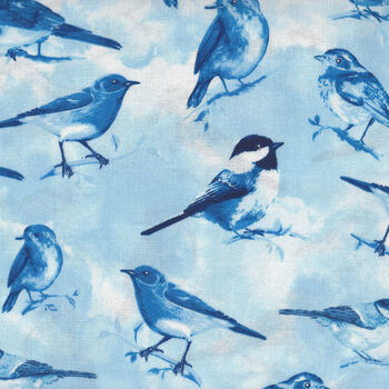 Bird From Timeless Treasures Fabrics TTC8453 Color Sky Blue Birds