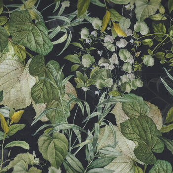 Botanical Garden For Michael Miller Fabrics DDC11468 Black Wild Foliage 