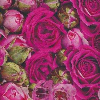 Budding Romance by Northcott Studio Mixed Roses DP23844 col 28 Dark Pink Multi