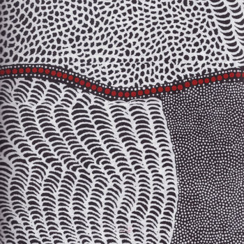 Bush Onion Dreaming Black by Jean Nampajinpa Hudson for MandS Textiles
