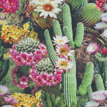 Cactus Flowers Bloom By Timeless Treasures Patt West   CD1786 Desert Dreams Mul