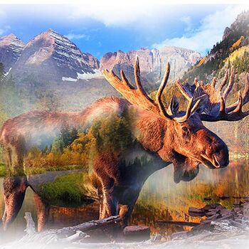 Call Of The Wild Moose Panel From Hoffman Spectrum Digital Print HR4797 623 Umber