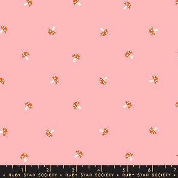 Carousel by Ruby Star Society Melody Miller RS010013