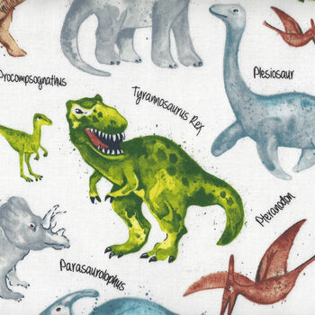 Dinosaur Planet by Timeless Treasures Fabrics TTC219 Color White