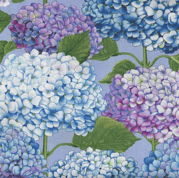 Dragonfly Garden By Color Principle for Henry Glass Fabric 2470 Col75 Hydrangea