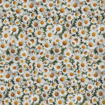 Elizabethand39s Studio Daisies Digital Print Pattern 656 White