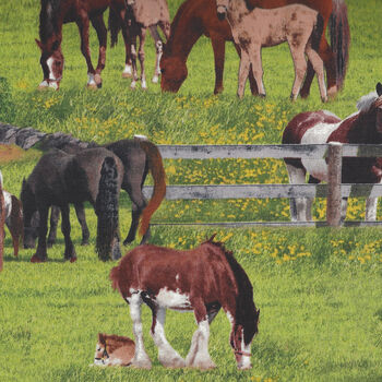 Elizabethand39s Studio Farm Animals Digital Print Pattern 339 Horses