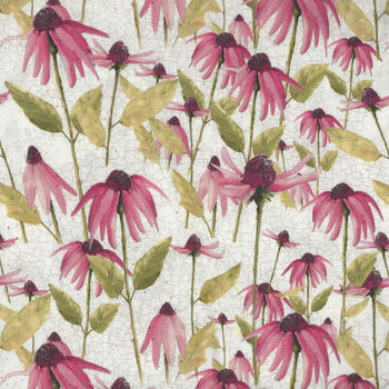 Enjoy The Little Things by Clothworks Y40602 Light Cream Echinacea
