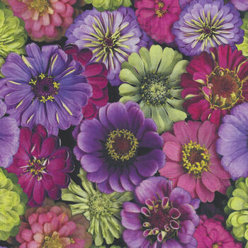 Flower Power by Leto For Clothworks Fabrics Y3053 Color 26 Zinnia