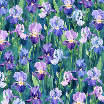 Flower Shoppe Hoffman Spectrum Fabric HW5479 40 Iris
