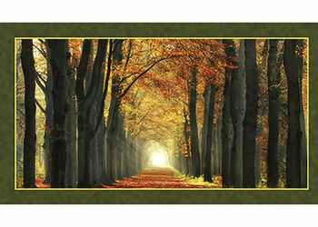 Galaxy Of Graphics Autumn Scene Digital Panel Quilting Treasures 24634X 25 x 44