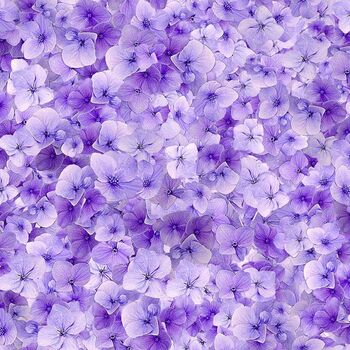 Garden Delight by Timeless Treasures Digital Fleur CD3505 Lilac