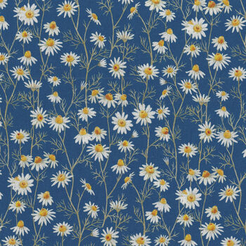 Hedgehog Hollow For In The Beginning Studio C24969HH1Blue