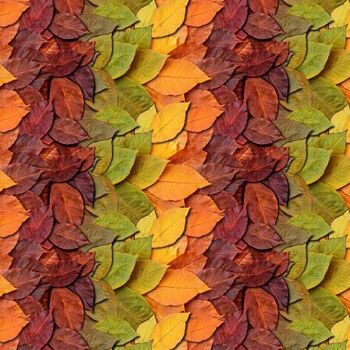 Homestead October by Hoffman Spectrum Fabrics HW5516595 October