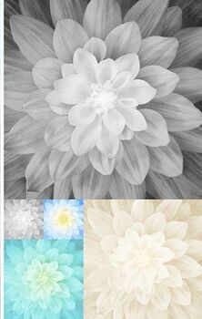 KaBLOOMS A Hoffman Spectrum Digital Panel 27 x 42 S Q4498 Color 213 Onyx