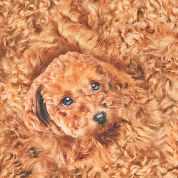 Kokka 100 Cotton Fabric Made In Japan Dog YPA31000 A11 Cavoodle 