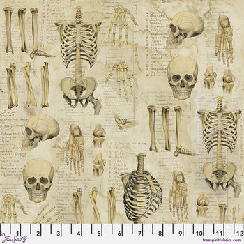 Labratory by Tim Holtz Eclectic Elements PWTH181 Neutral Patt Anatomy