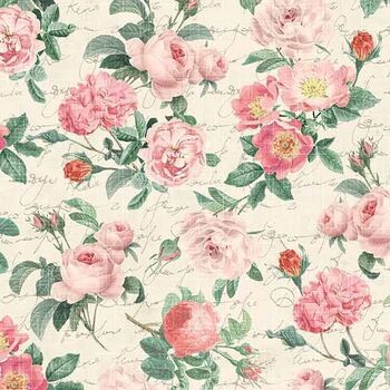 Michael Miller Heirloom Roses with Text DCX11886 Colour Cream Coral