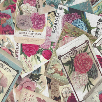 Ode To June For Clothworks Seed Packets Y350574 Raspberry