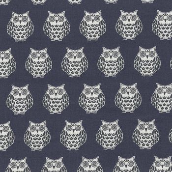 Papillon Owls from Makower Fabrics StyleTP 1763 Colour S