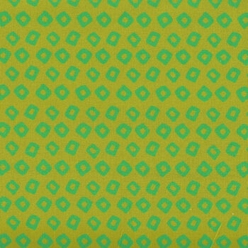 Ruby and Dee Blenders by Heather Ross for Windham Fabrics 5441717 Lime