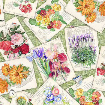 Seeds To Sew by Anne Searle For Robert Kaufman AIGD22188238 Garden